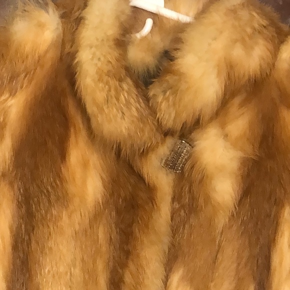 Red Fox Walking Coat Jacket - Picture 4 of 9